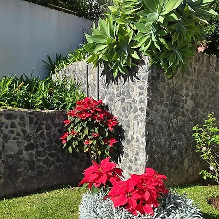 A Dream On The Cliff * Φουνκάλ