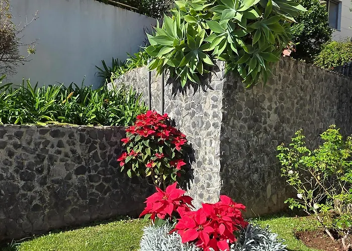 A Dream On The Cliff * Funchal (Madeira)